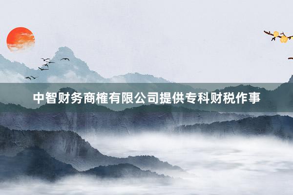 中智财务商榷有限公司提供专科财税作事